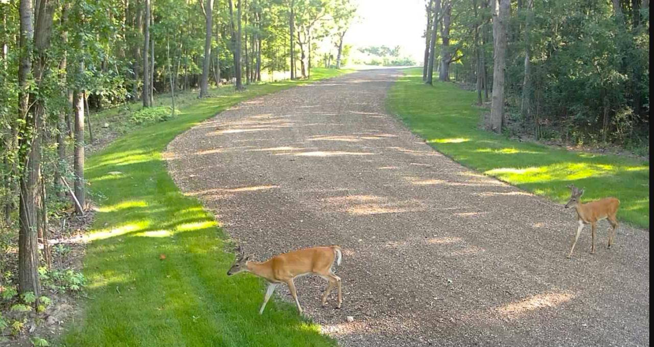 Burlington, WI 53105,Lt1 OAK KNOLL ROAD