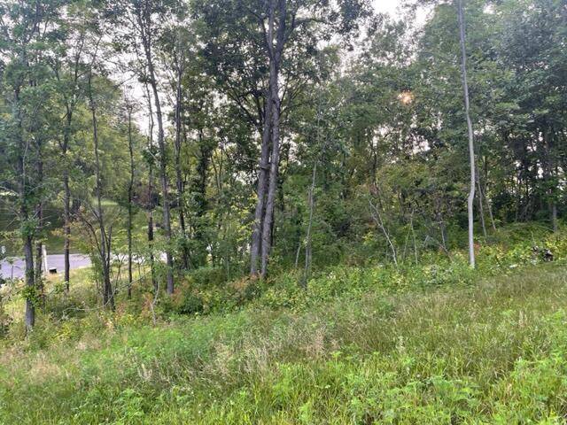 Onalaska, WI 54650,Lot 53 MADISON HEIGHTS DRIVE