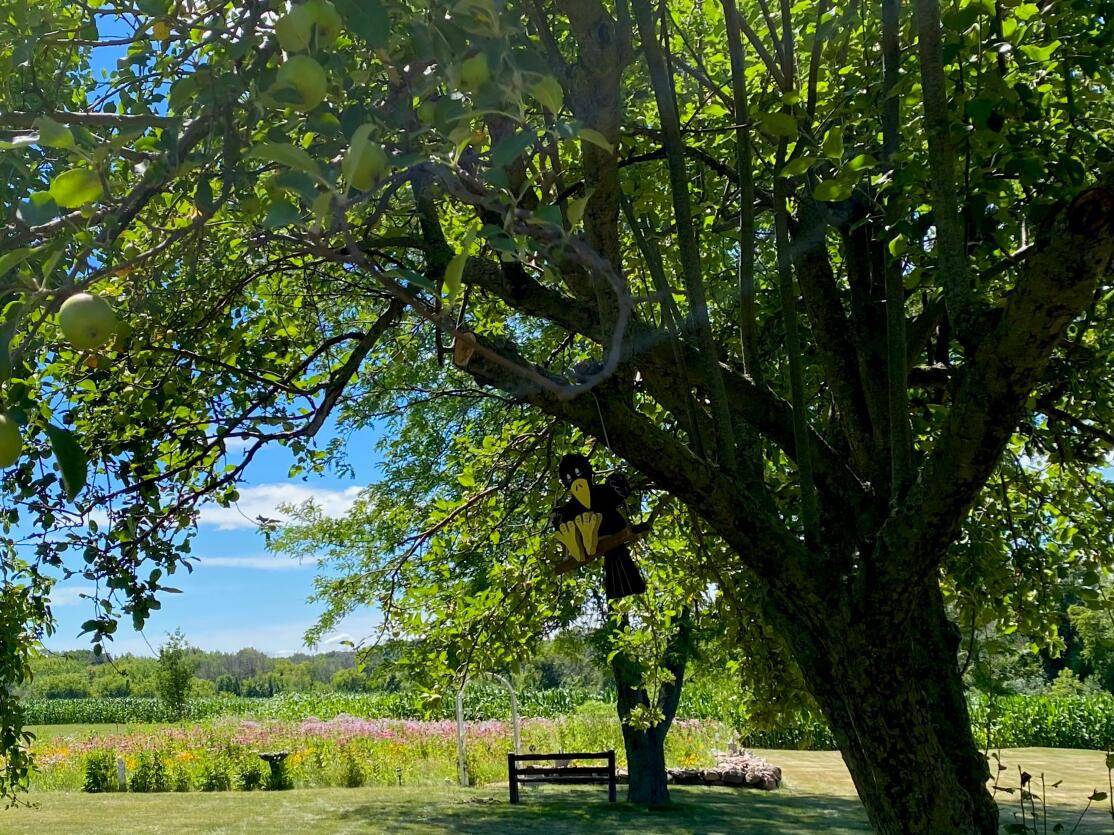 Chilton, WI 53014,W2035 County Road Y