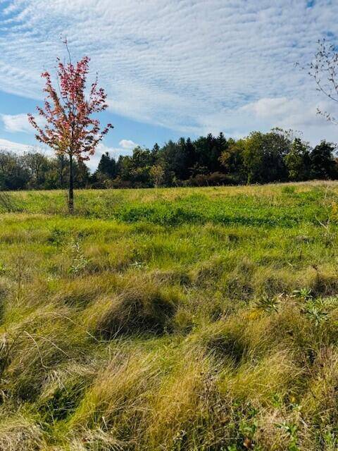 Sharon, WI 53585,Lt6 EASTVIEW DRIVE