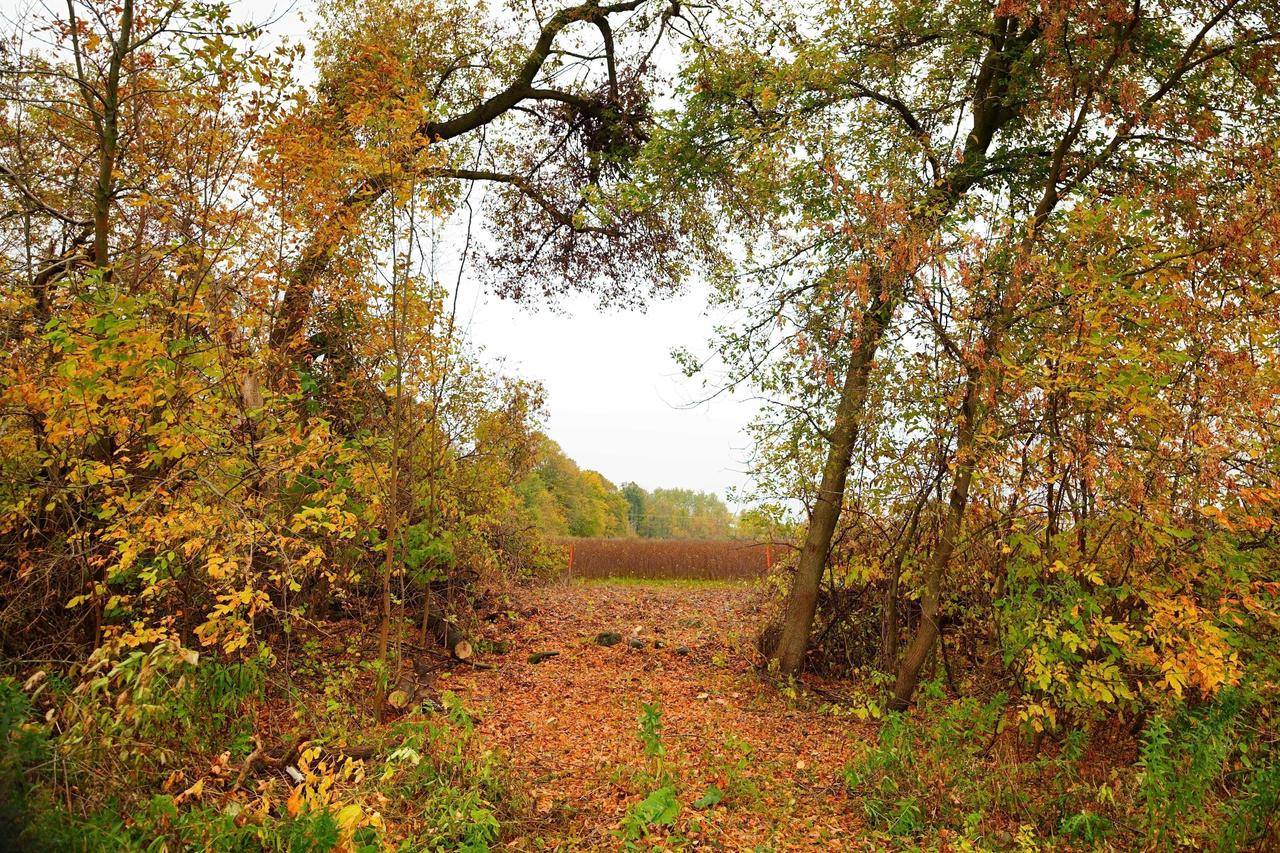 Waldo, WI 53093,Lt2 COUNTY ROAD AS