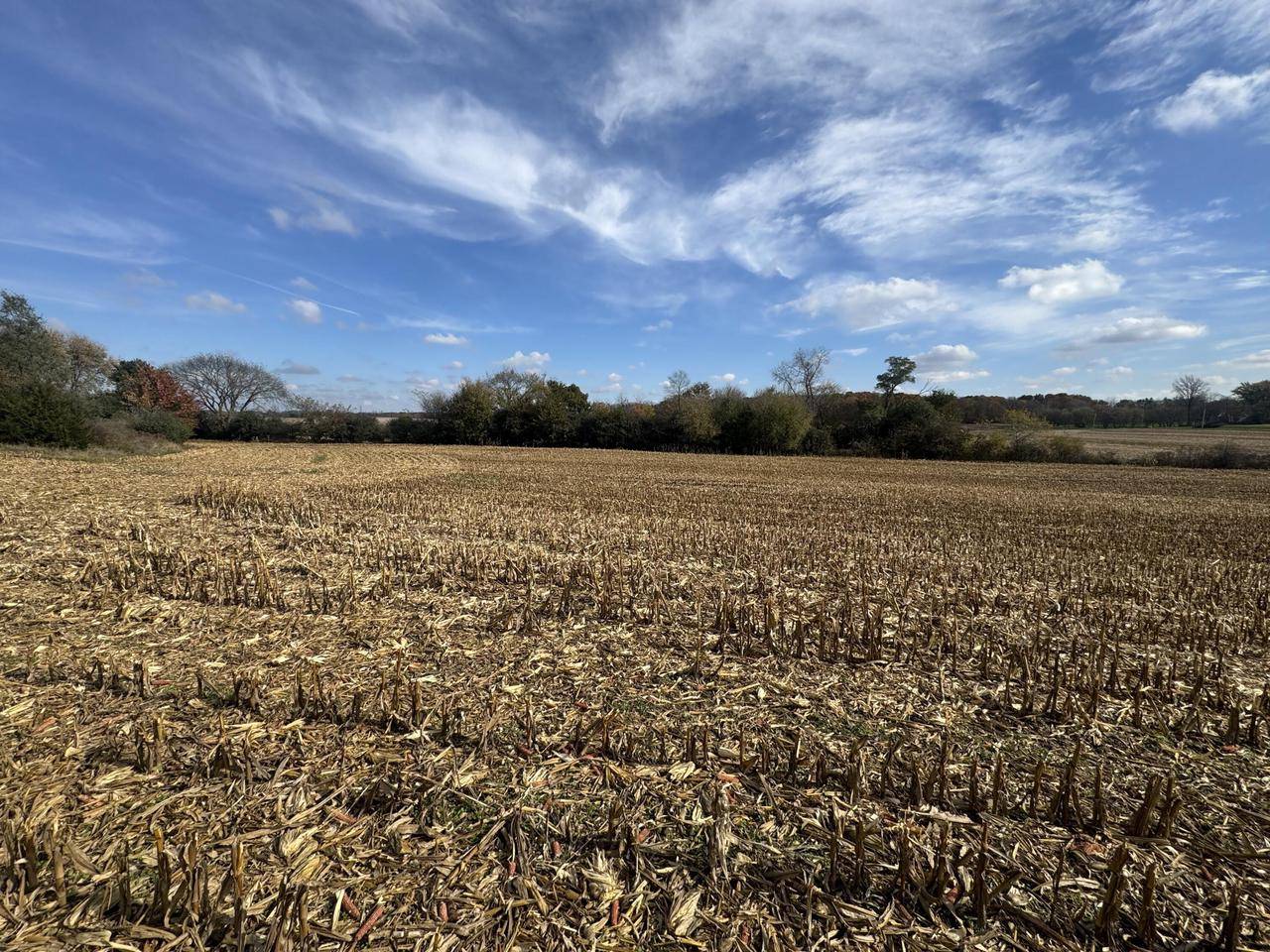 Big Bend, WI 53103,Lt12 LEO LANE