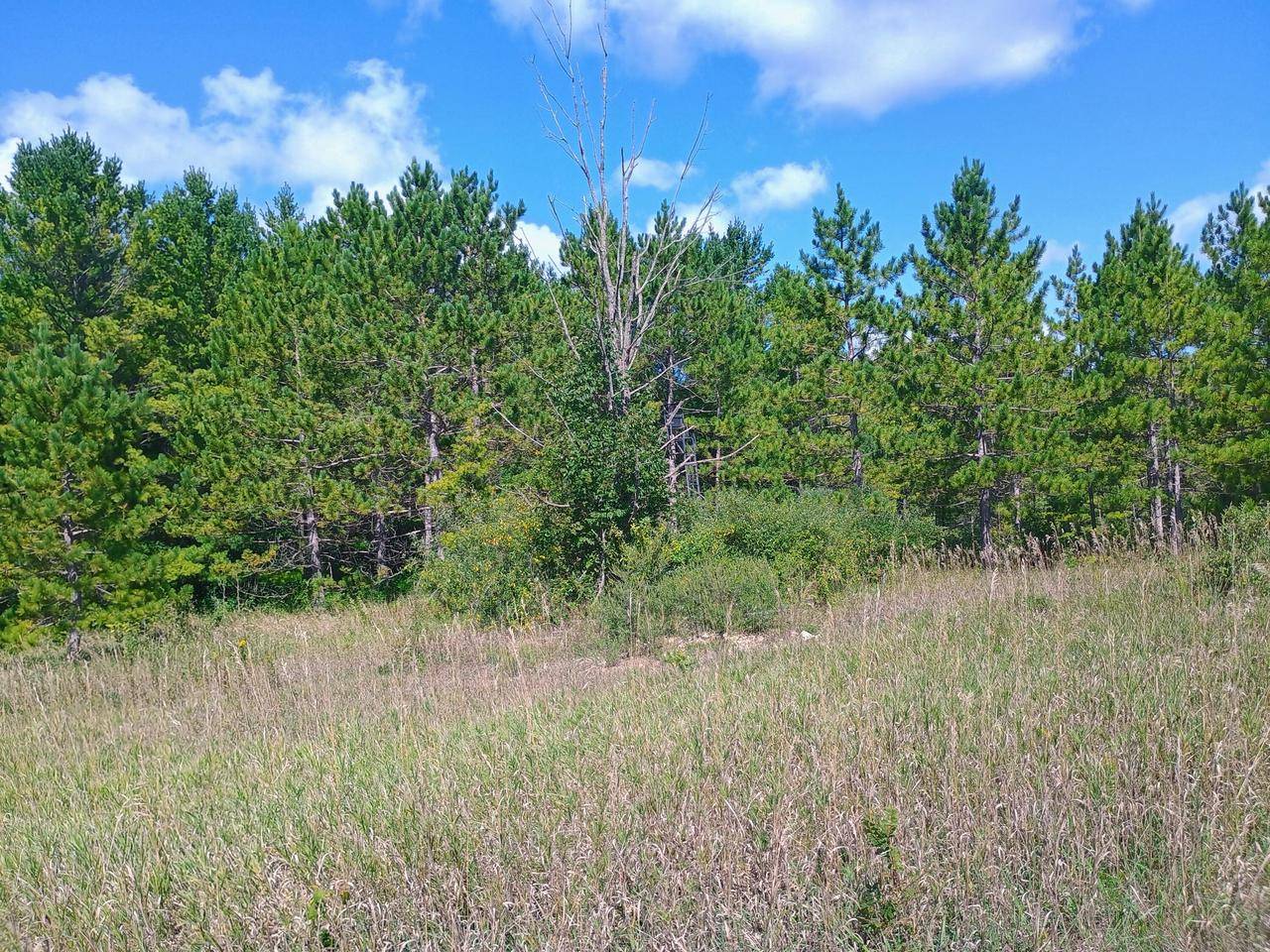 West Bend, WI 53095,Lt2 COUNTY HIGHWAY Y