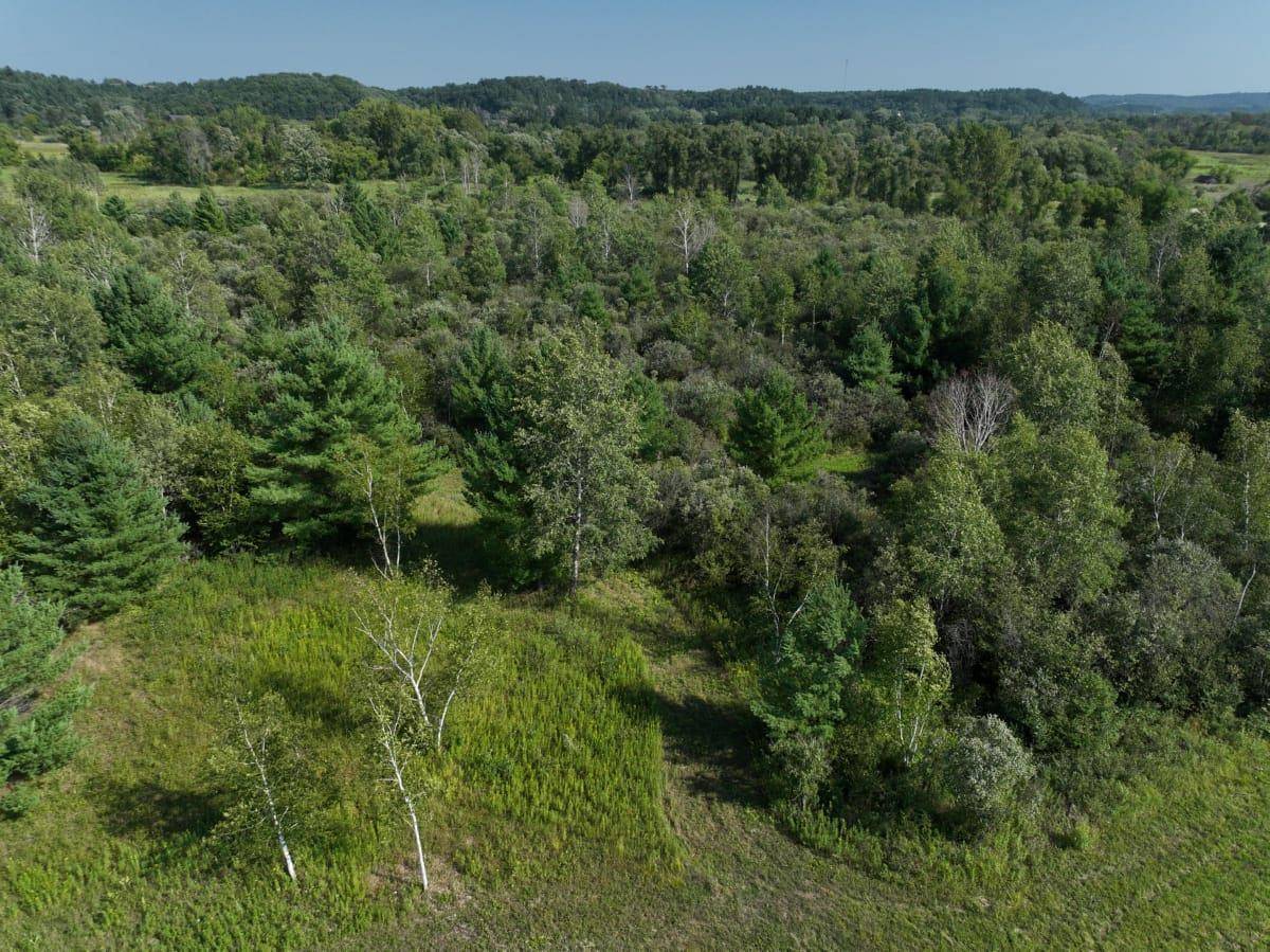 Wonewoc, WI 53968,36 Ac School Road