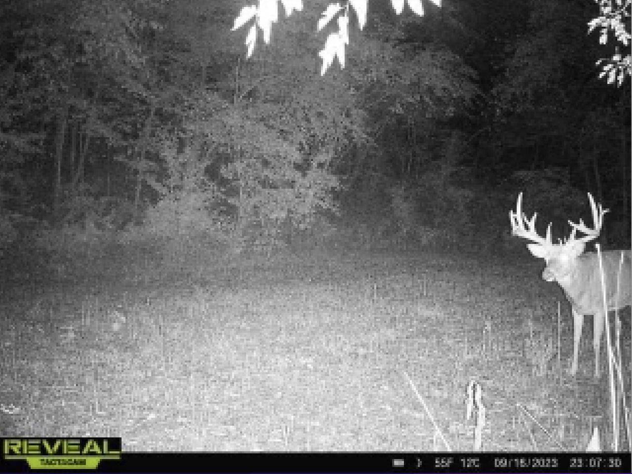 Soldiers Grove, WI 54655,43.62 Ac County Road C