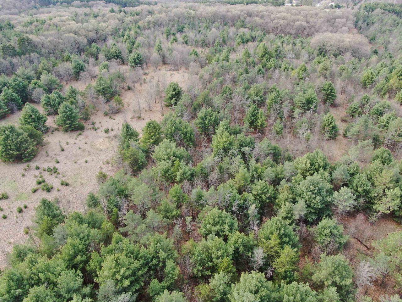 Wild Rose, WI 54984,36 AC County Road P