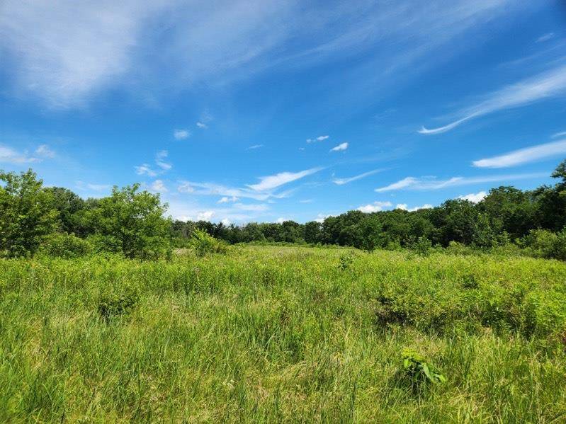 Albany, WI 53502,N7035 Wild Iris Way