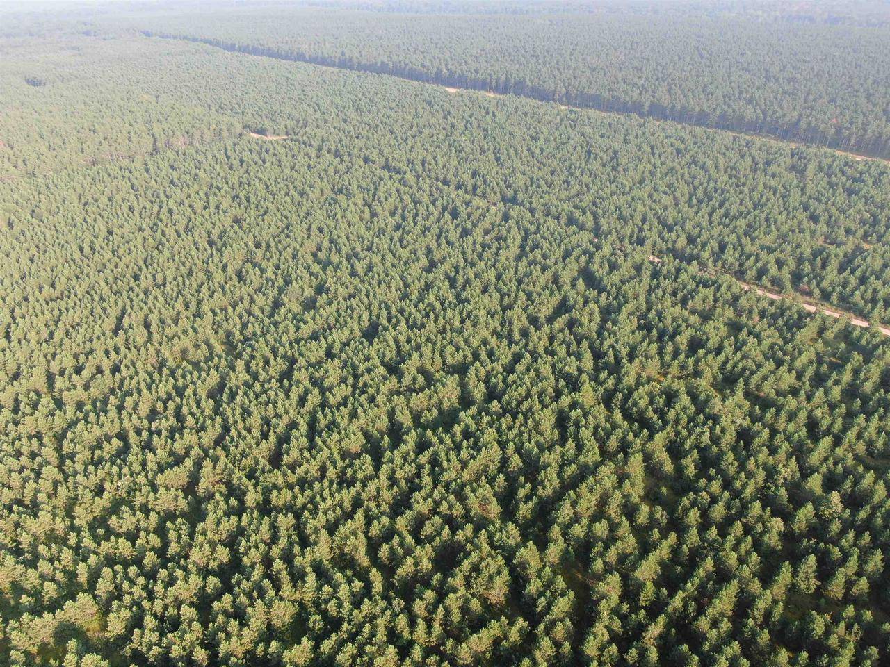 Nekoosa, WI 54457,40 AC Adams Avenue