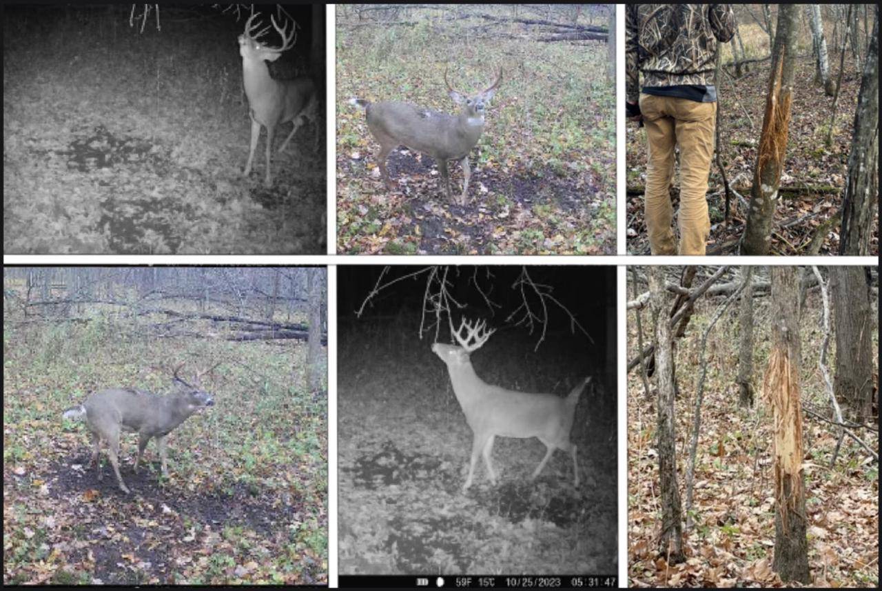 Hillsboro, WI 54634,000 North Lane