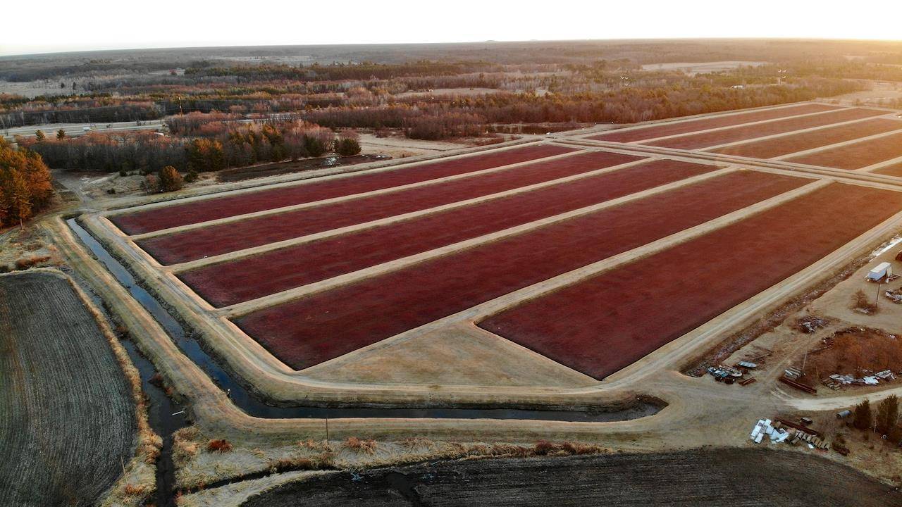 Camp Douglas, WI 54618,N7050 Highway 12 and 16