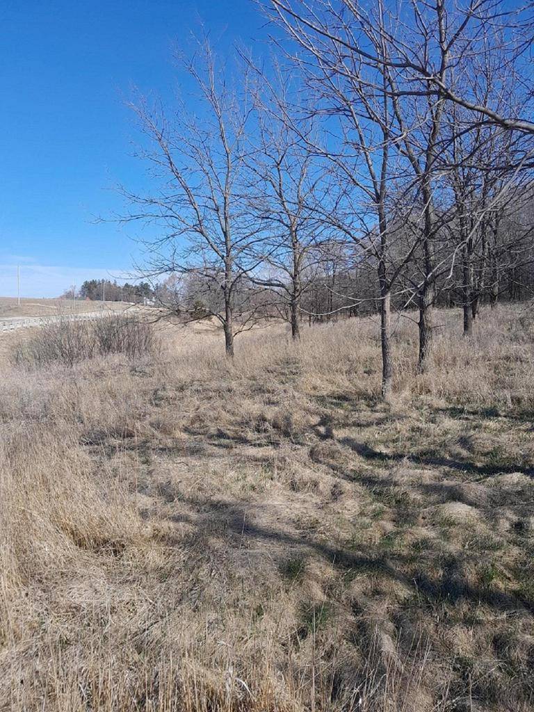 Bloomington, WI 53804,Approx 9 acres Highway 35/61