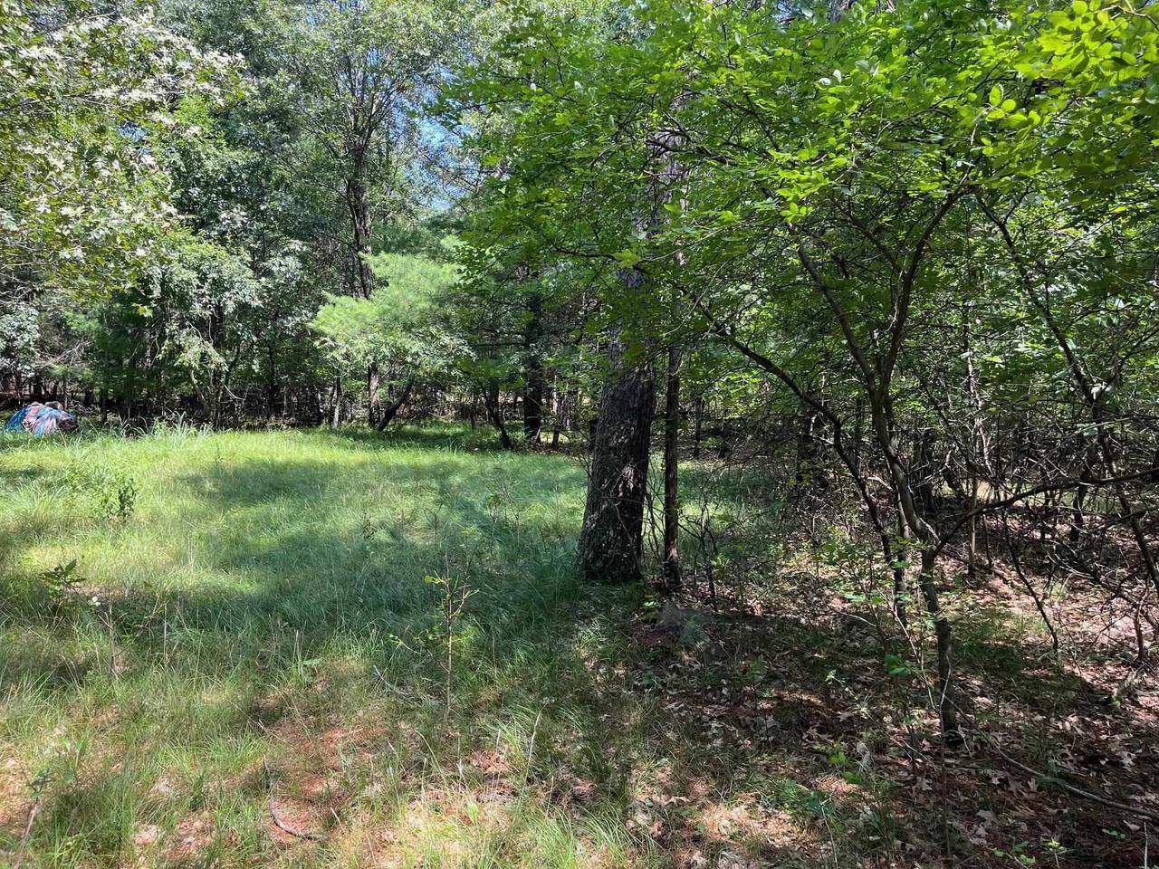 Arkdale, WI 54613,L64 S Cypress Drive