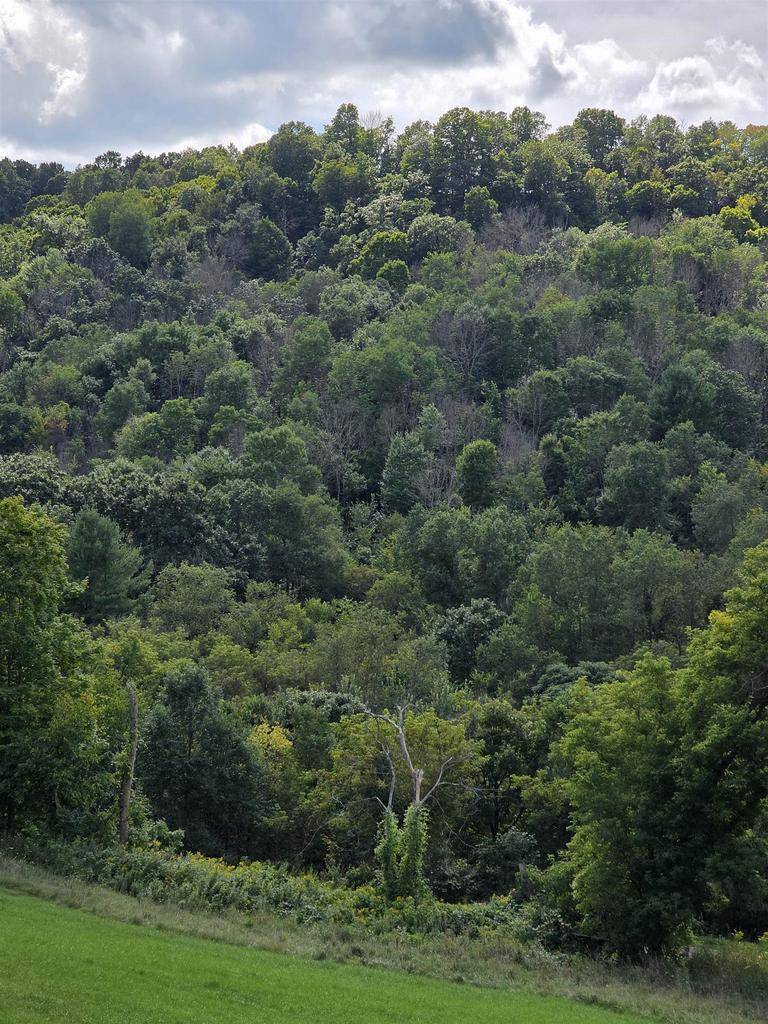 Hillsboro, WI 54634,0000 Scenic Drive