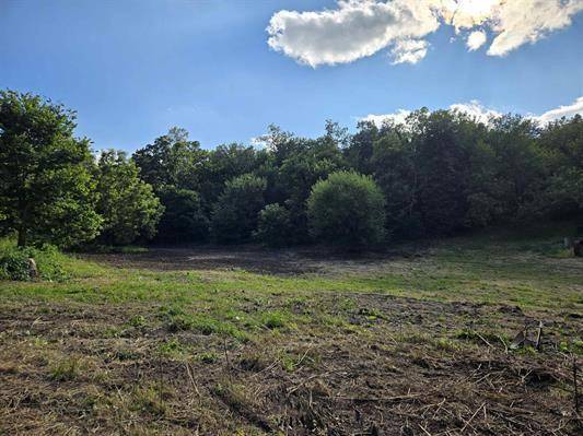 Brodhead, WI 53520,N197 Mt Hope Road