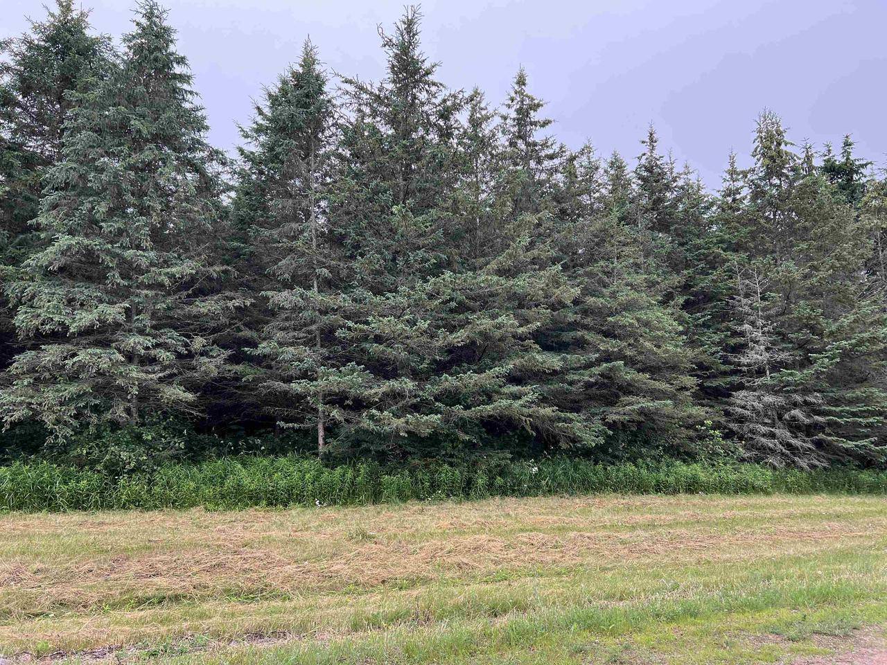 Wittenberg, WI 54499,Lot 5 SUE ALAN DRIVE