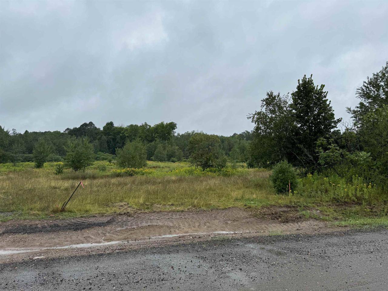 Rhinelander, WI 54501,Lot 9 TAYLOR DRIVE