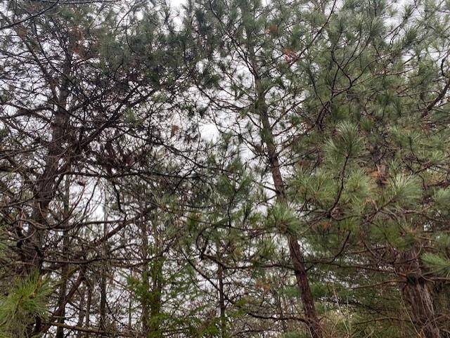 Wausau, WI 54403,Lot 2 SIDELINE ROAD