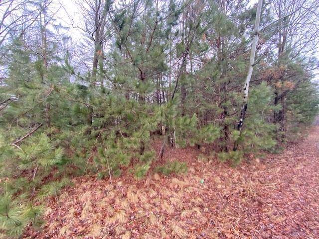 Wausau, WI 54403,Lot 1 SIDELINE ROAD