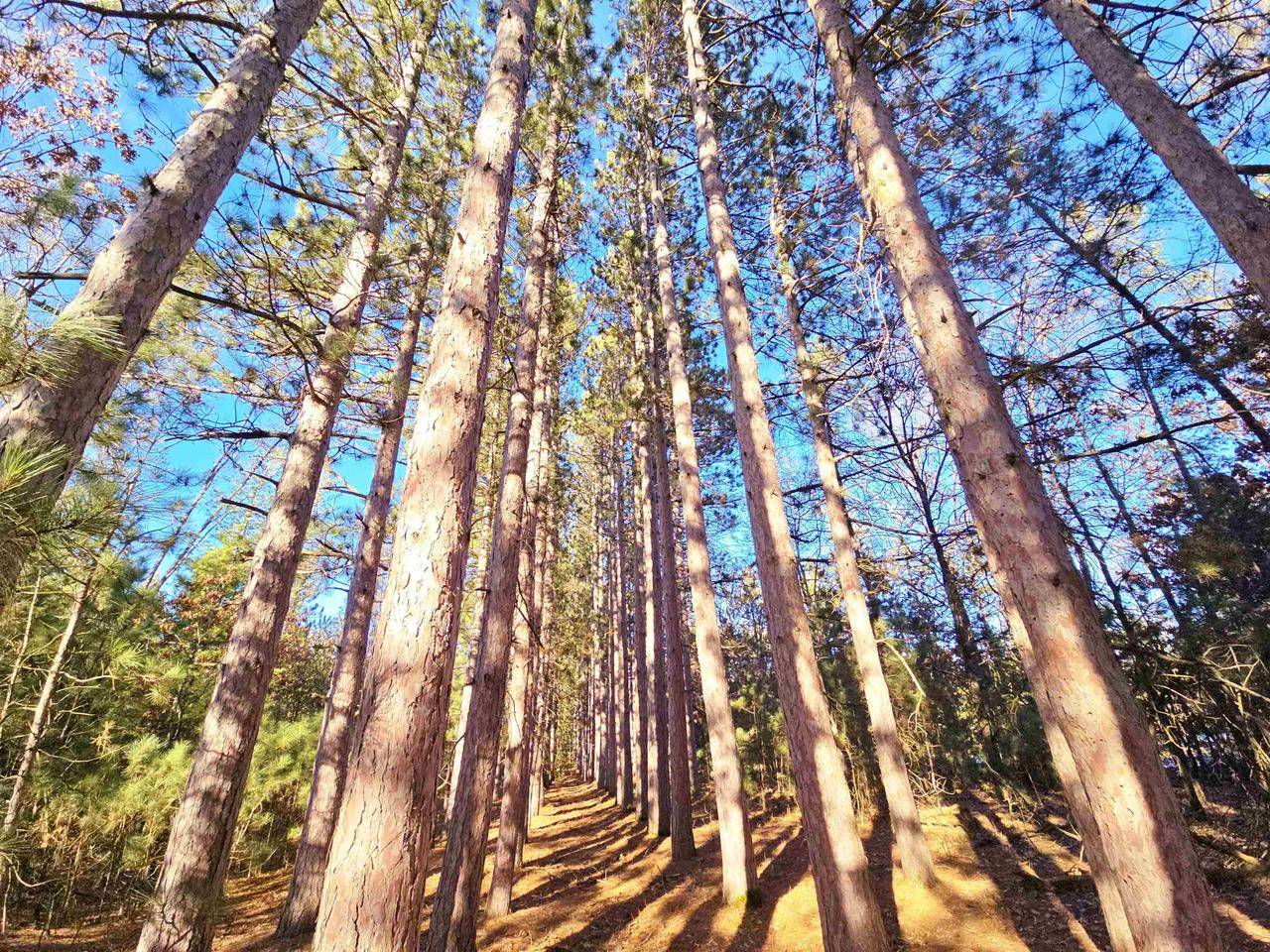 Friendship, WI 53934,1989 8TH AVENUE