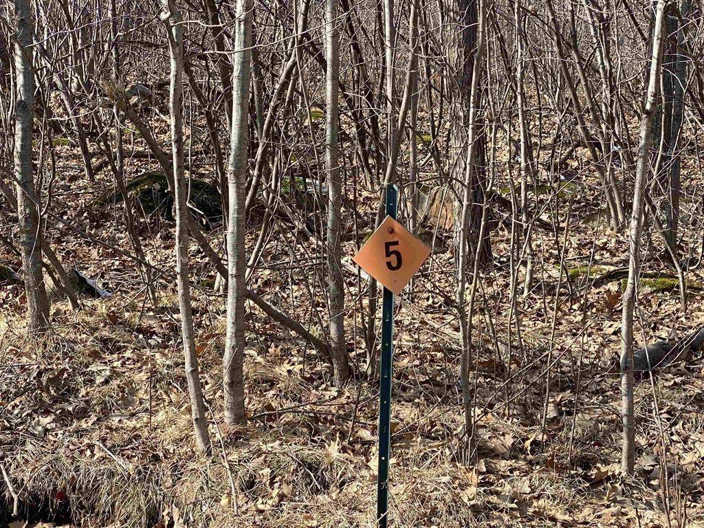 Mosinee, WI 54455,Lot 5 ACORN RIDGE ROAD