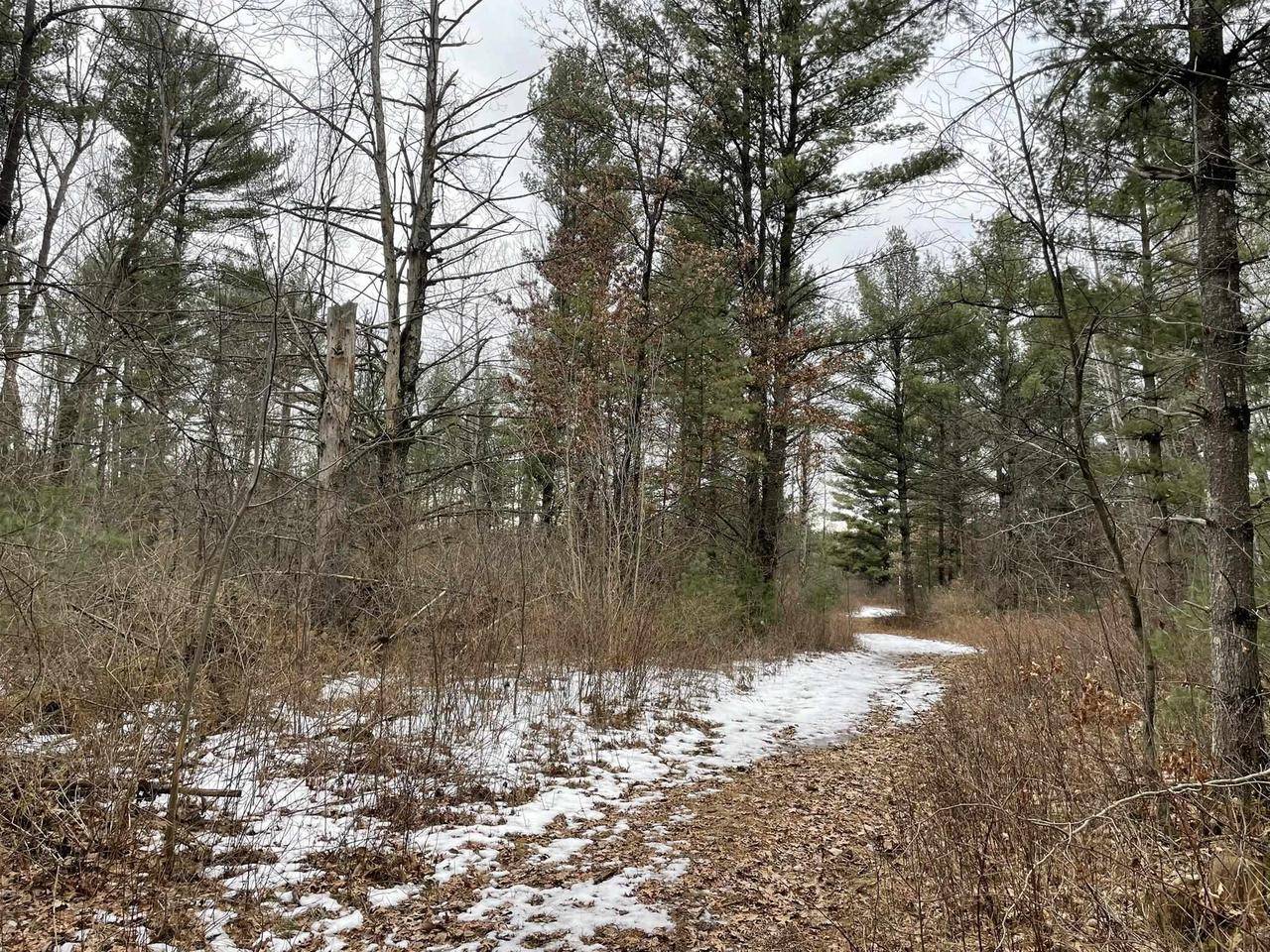 Port Edwards, WI 54469,40 Acres SENECA ROAD