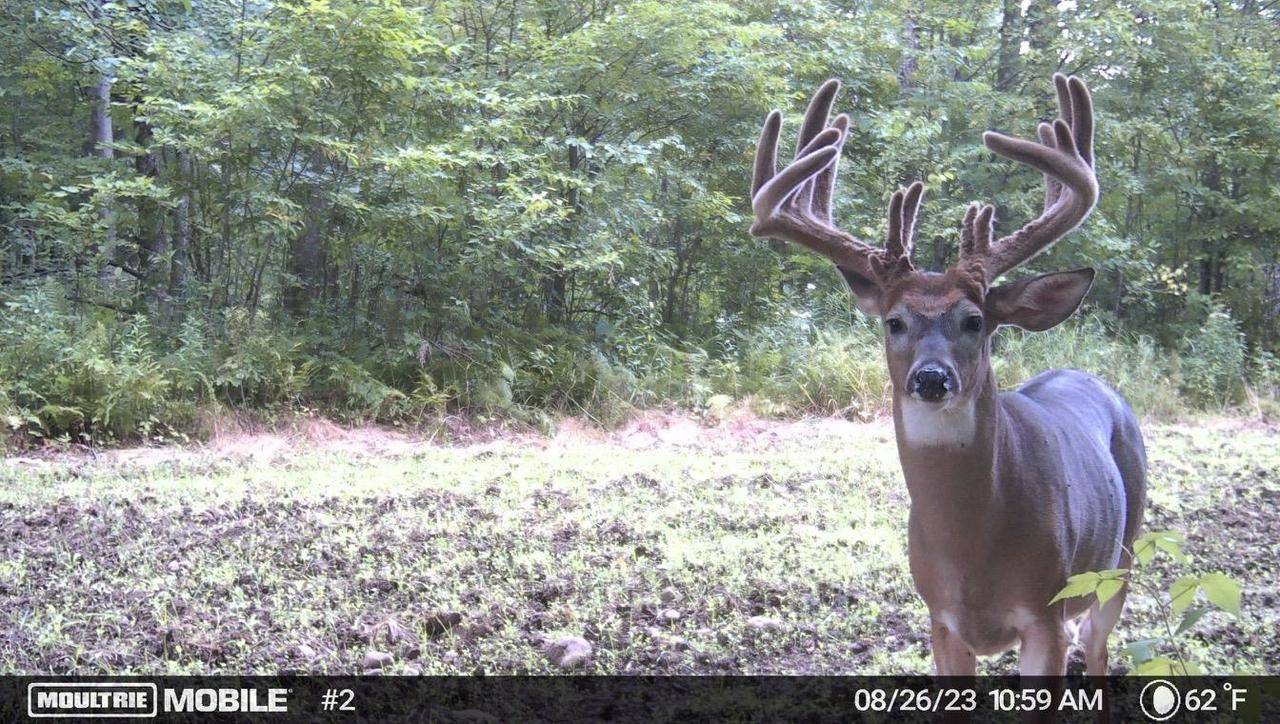 Kennan, WI 54537,WALNUT ROAD