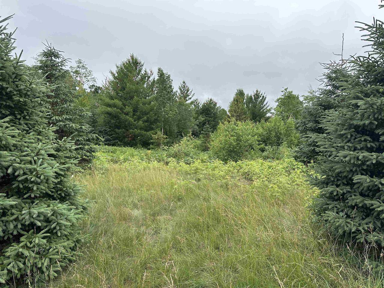 Wisconsin Rapids, WI 54494,LOT 41 POINT TRAIL