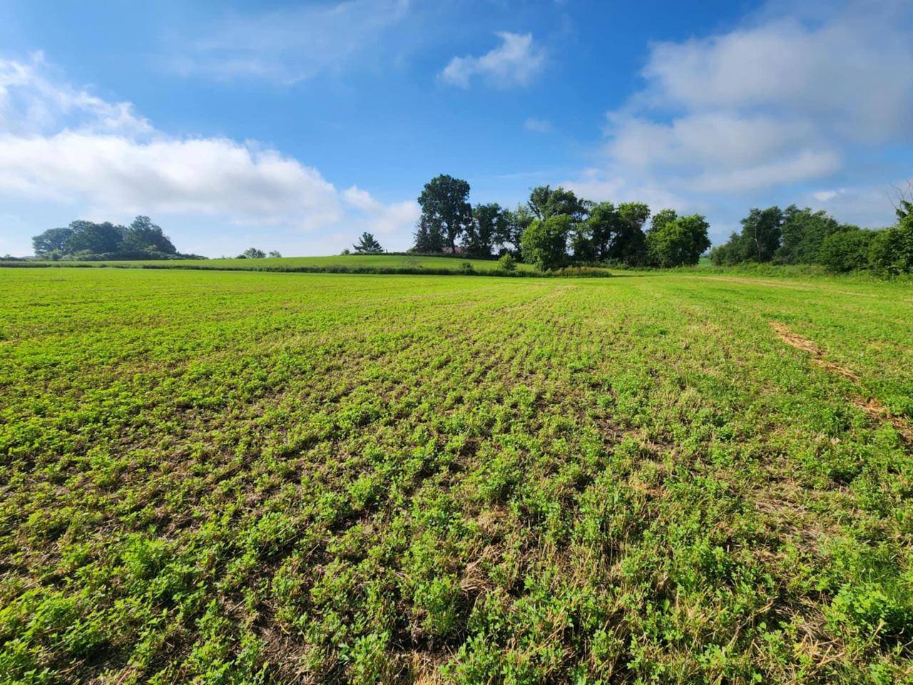 Marshfield, WI 54449,000 EAGLE ROAD