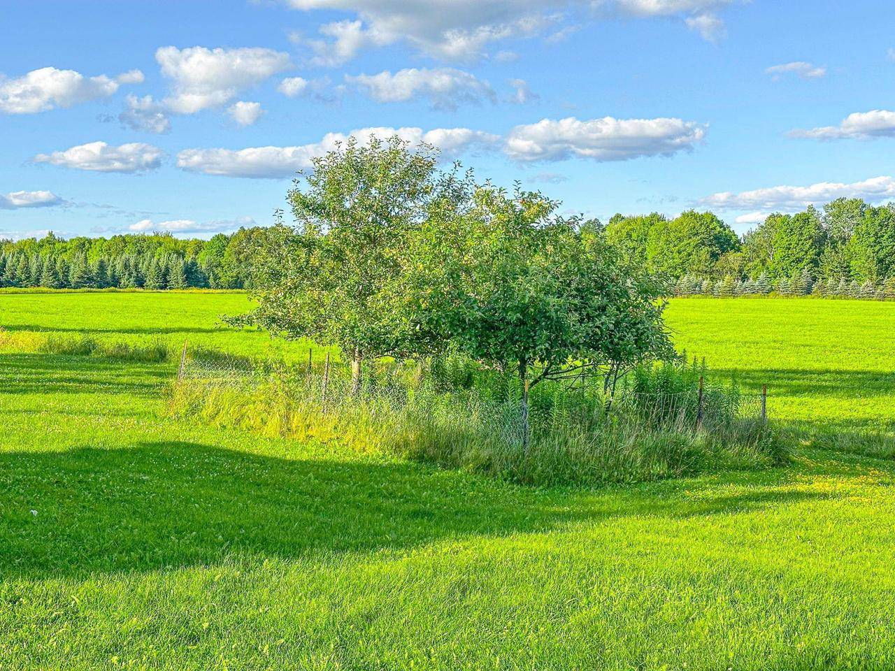 Brantwood, WI 54513,W2554 COUNTY ROAD D