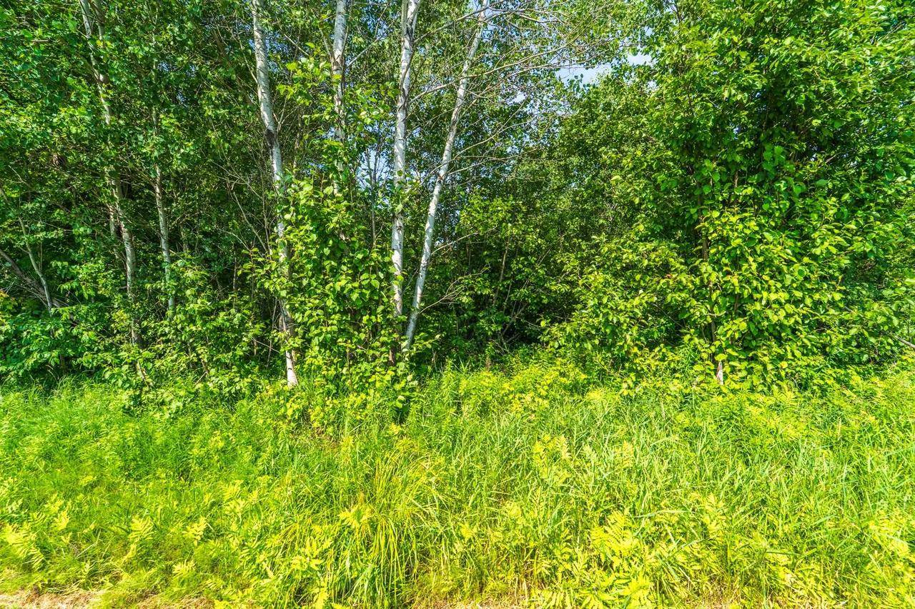 Kronenwetter, WI 54455,Lot # 3 CREEK ROAD