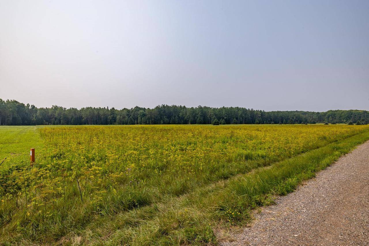 Tipler, WI 54542,13 Acres WHITETAIL LANE