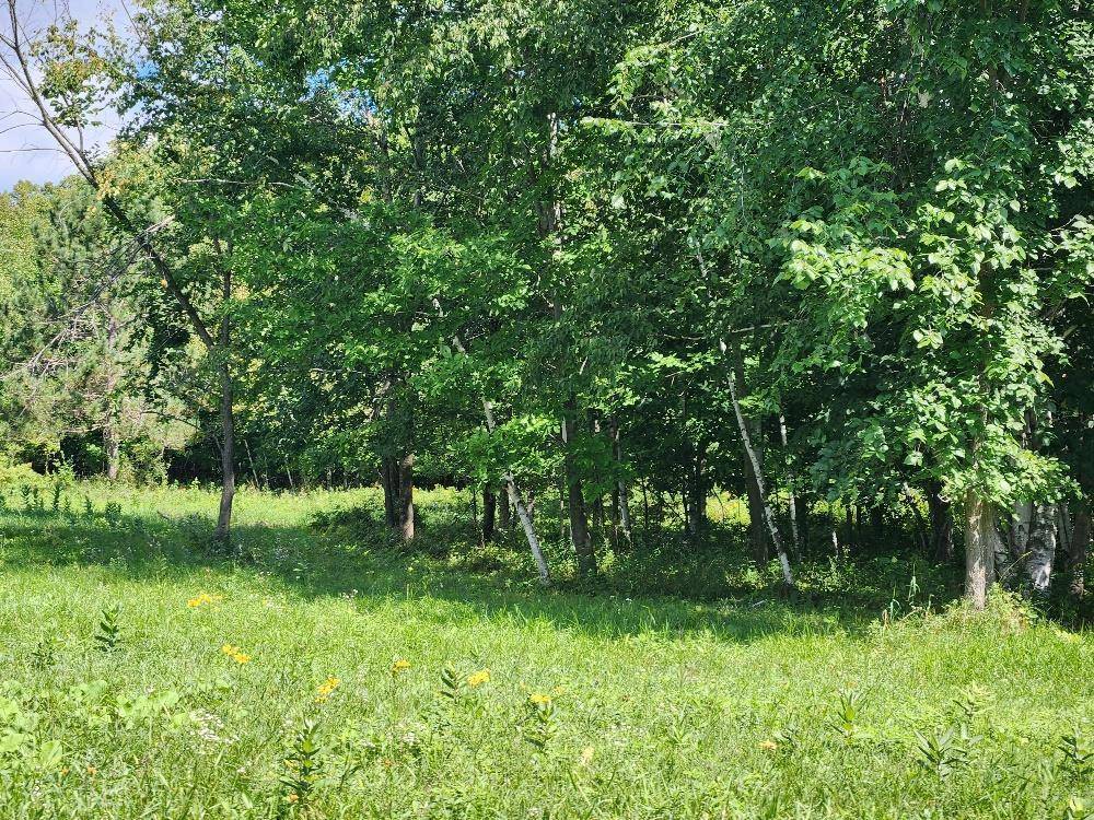 Ladysmith, WI 54563,W6926 MAE WEST ROAD