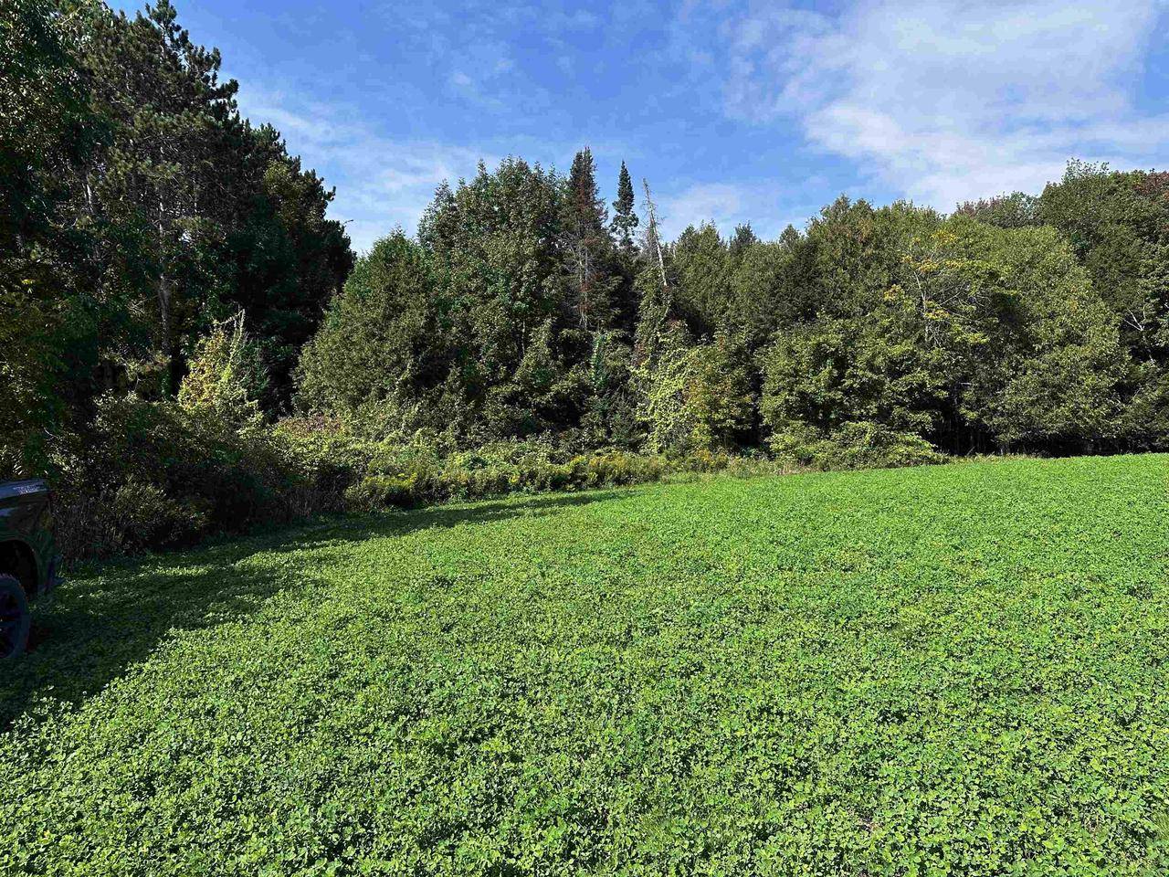 Birnamwood, WI 54414,02 STATE HIGHWAY 45