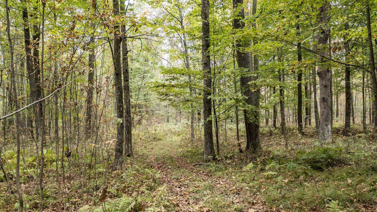 Eland, WI 54427,W18610 HIGHWAY 45