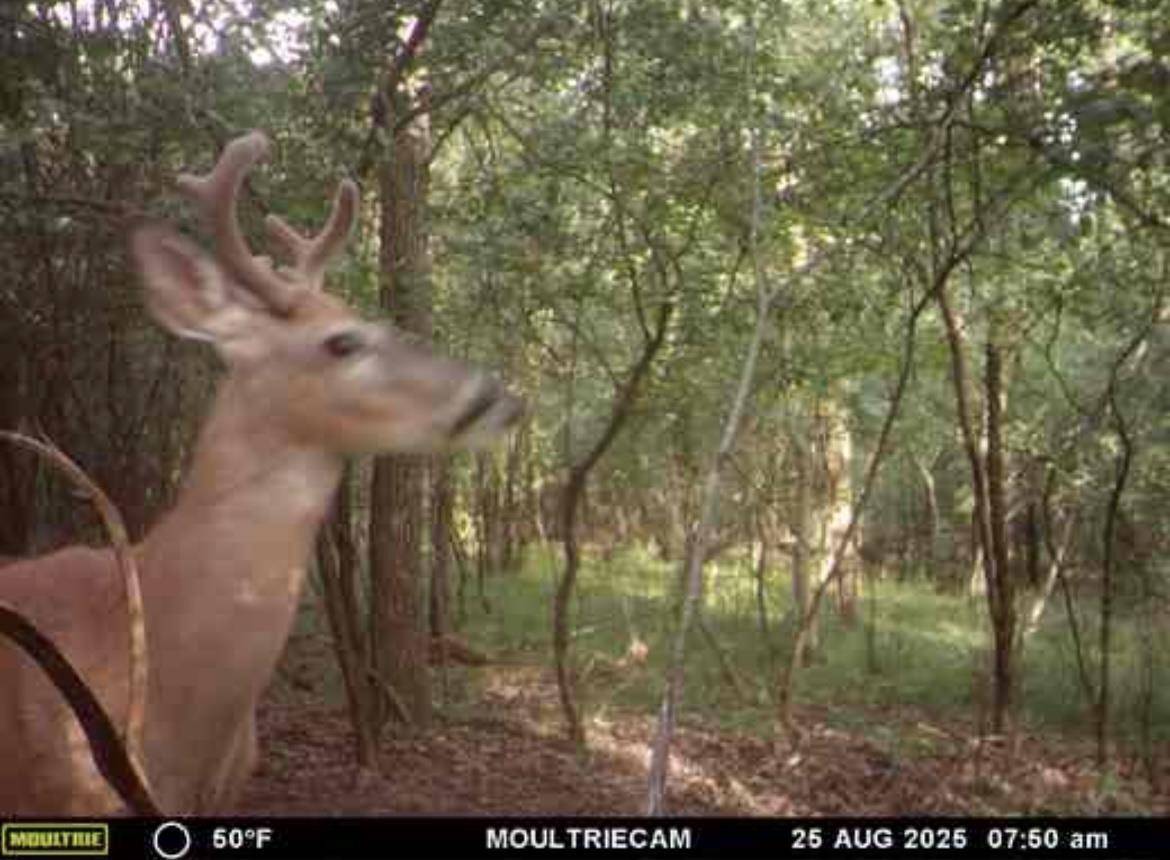 Coloma, WI 54930,6.63 Acres 4TH AVENUE