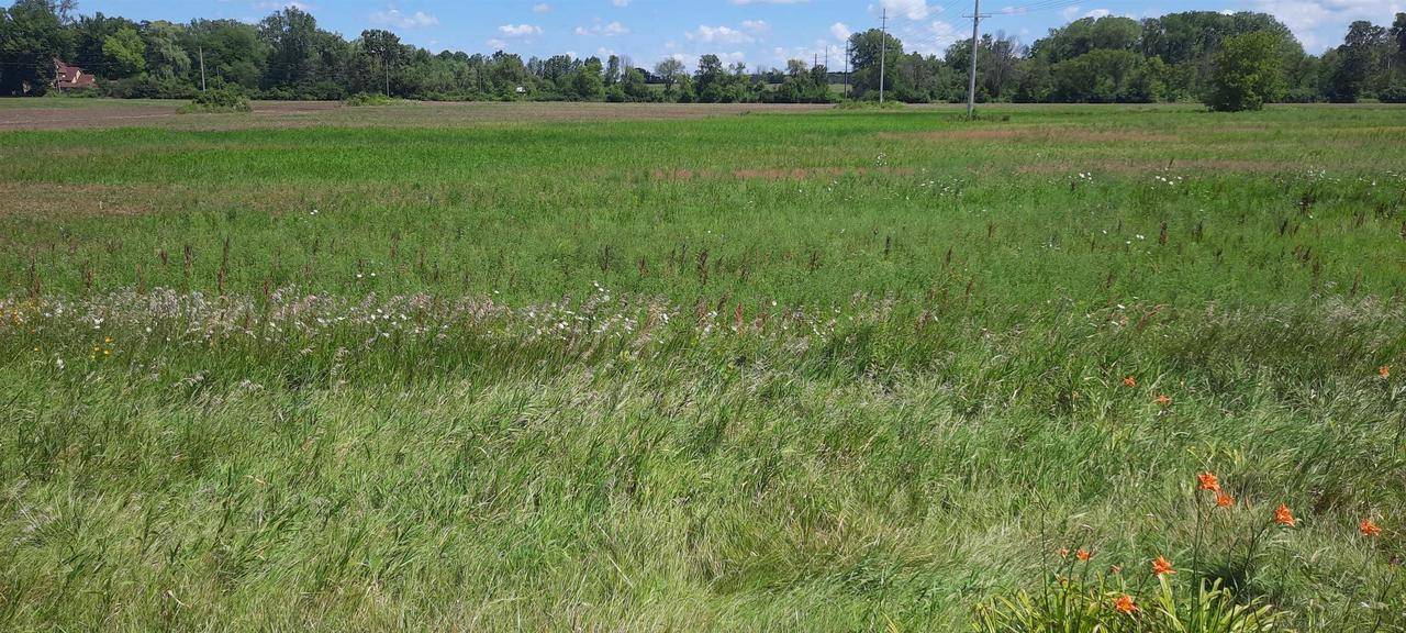 New London, WI 54961,SHAWANO STREET