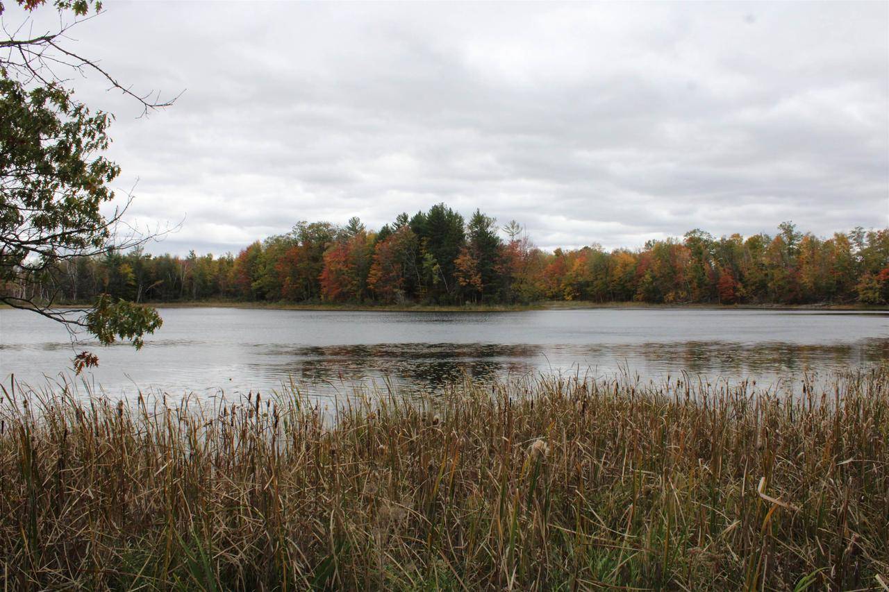 Mountain, WI 54149,ISLAND LAKE ROAD