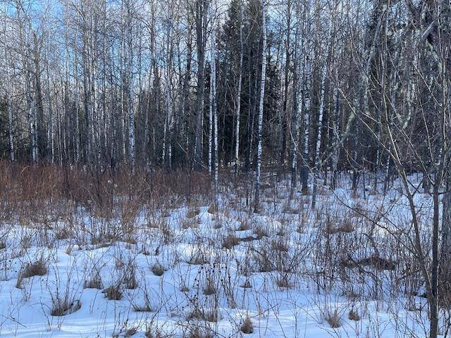 Laona, WI 54541,BIG CUB TRAIL