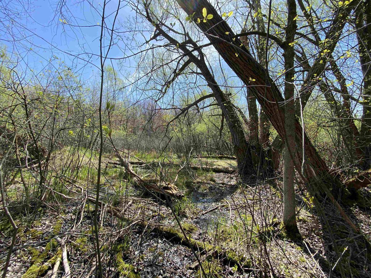 Green Bay, WI 54229,IVY HILL DRIVE