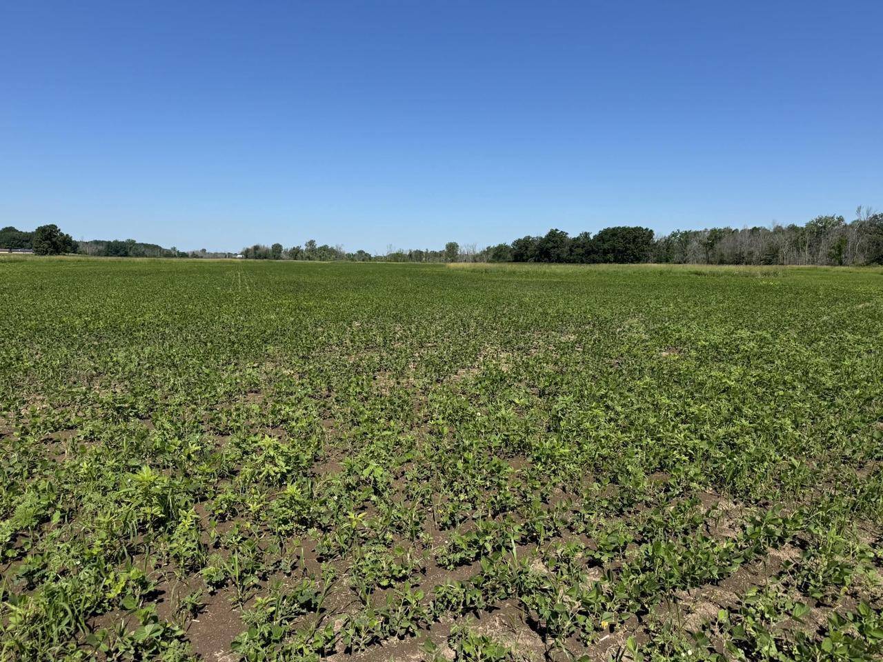 Winneconne, WI 54986,QUIGLEY ROAD