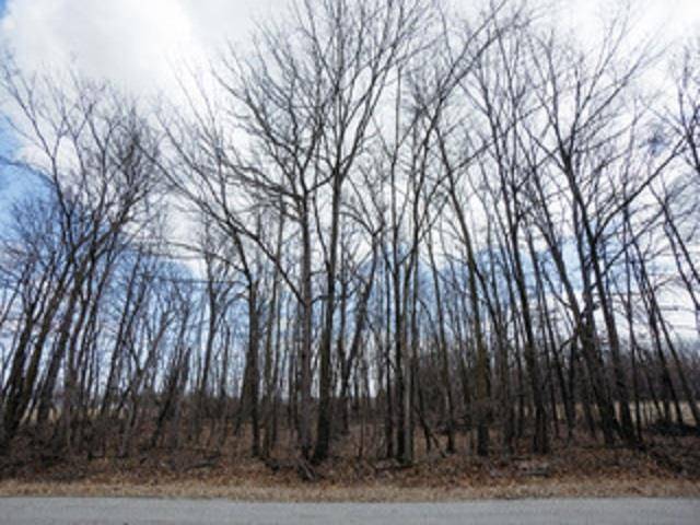 Fond Du Lac, WI 54937,NELSON ROAD