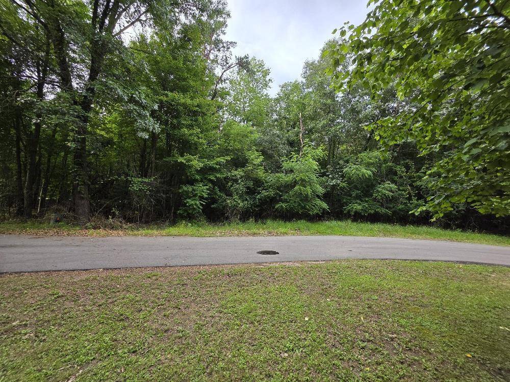 Wild Rose, WI 54984,PINE LANE