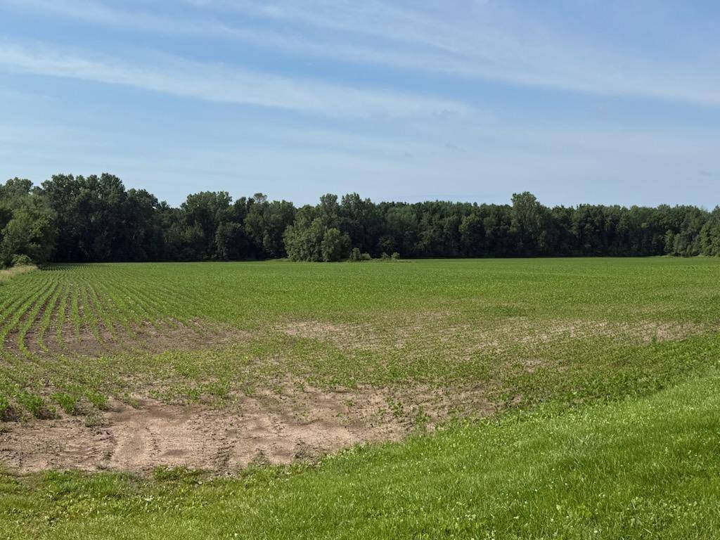 Little Suamico, WI 54141,BALL PARK ROAD