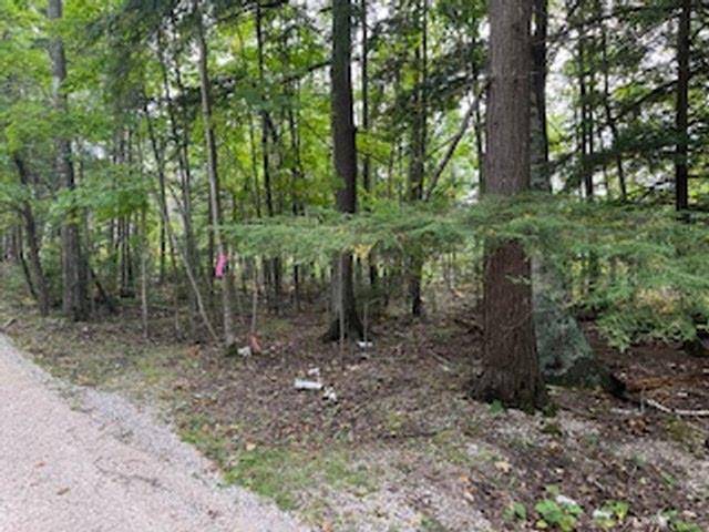 Ellison Bay, WI 54210,FAWN LANE