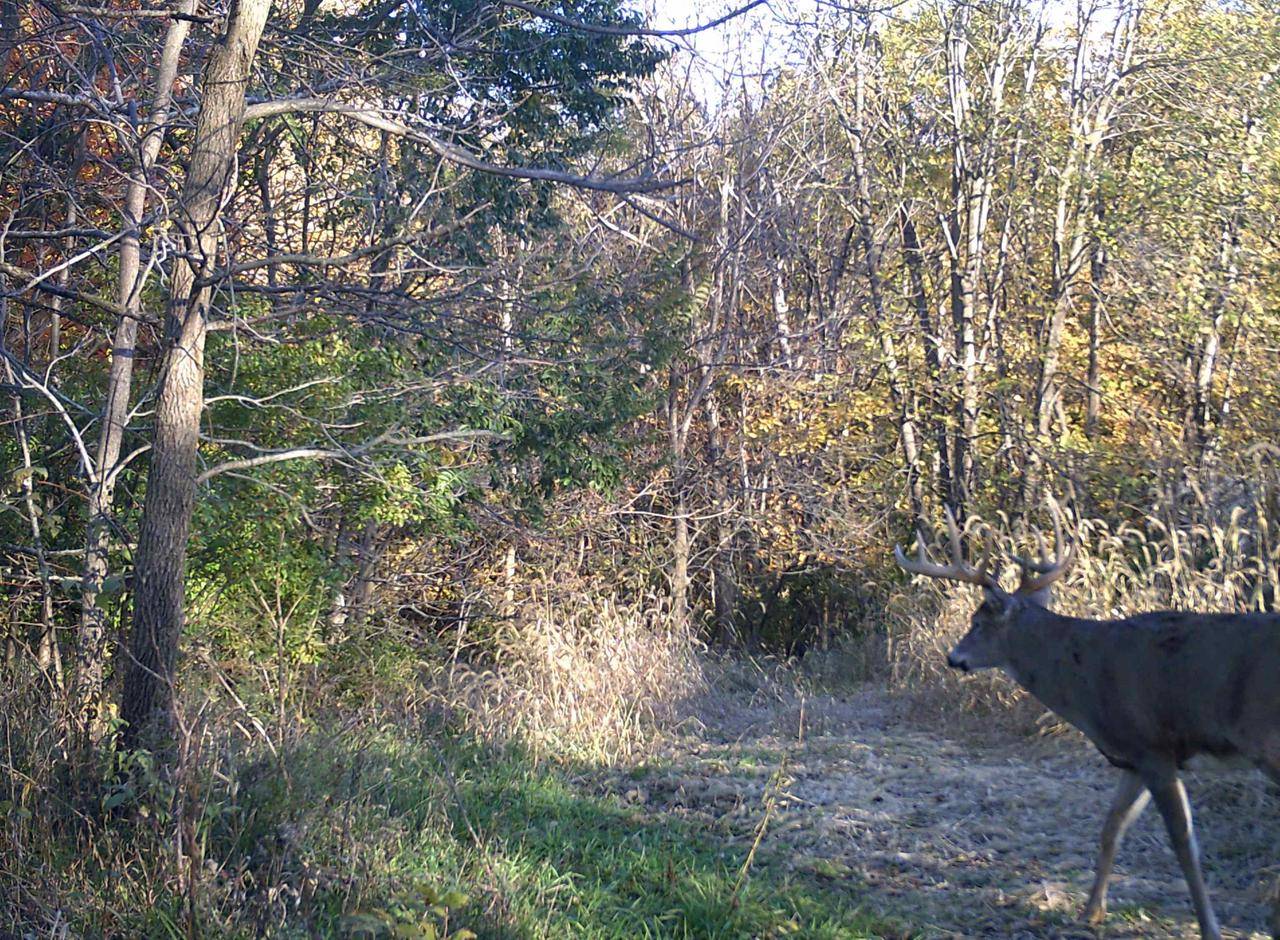 Bagley, WI 53801,KOECKE LANE