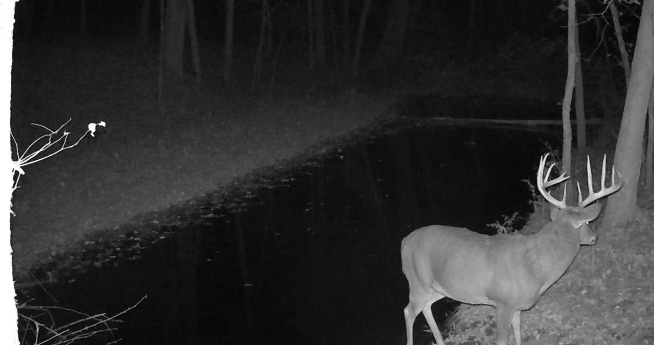 Bagley, WI 53801,KOECKE LANE