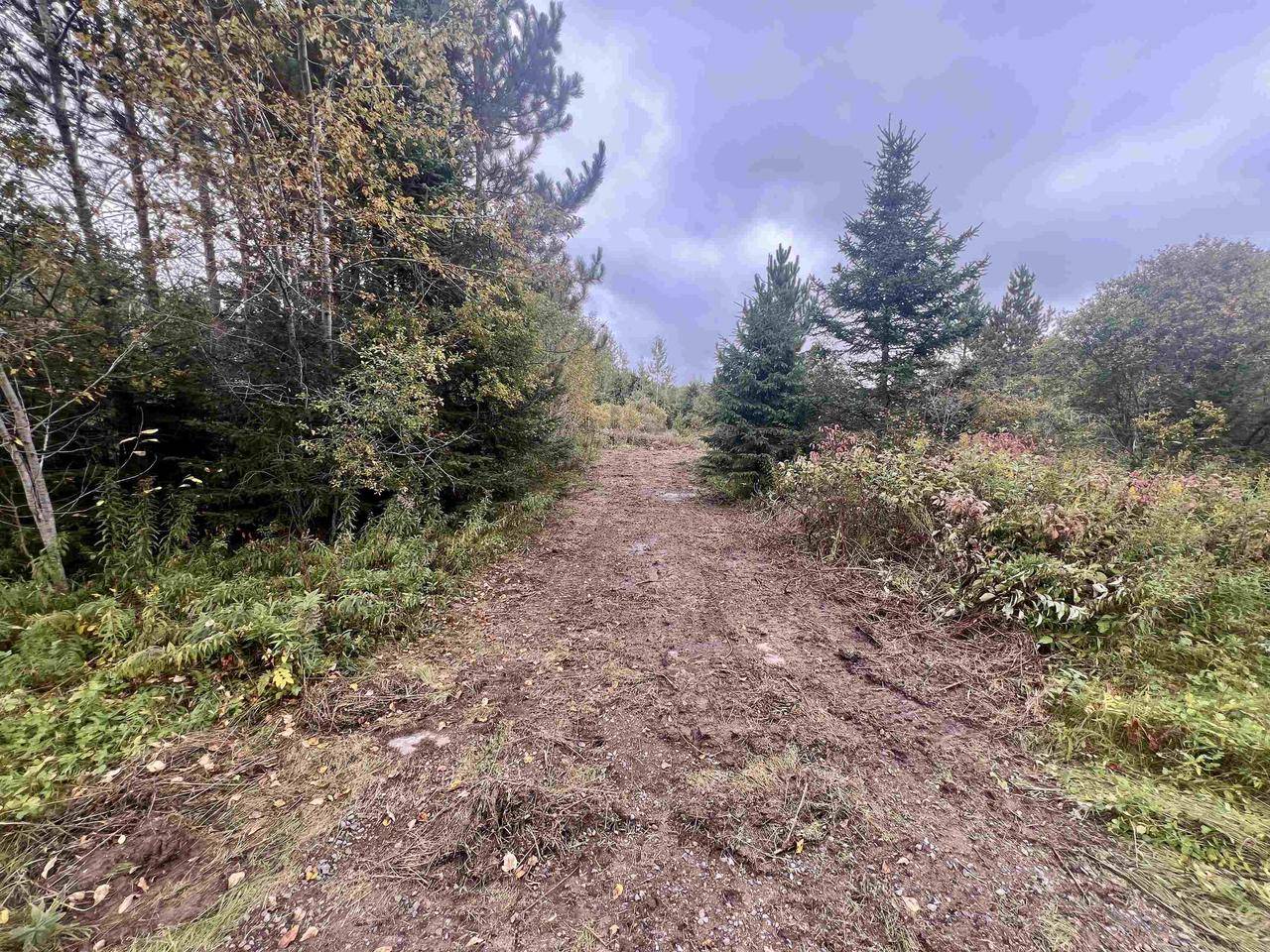 Tipler, WI 54542,DREAM LAKE ROAD