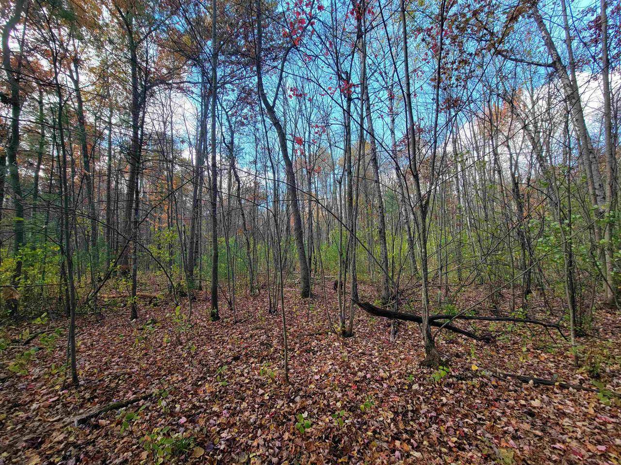 Marinette, WI 54143,KELLER ROAD