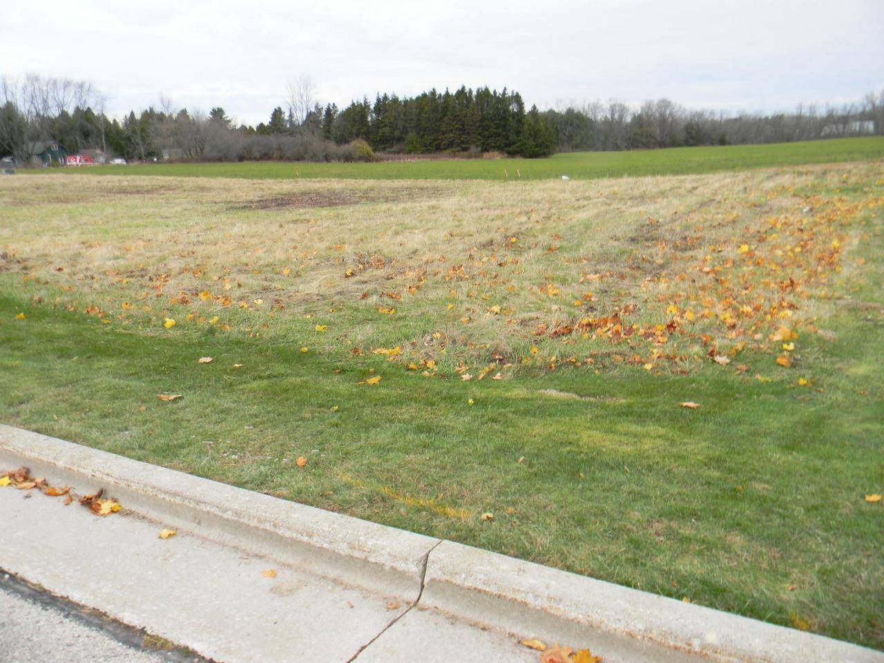 Algoma, WI 54201,NAVARINO STREET