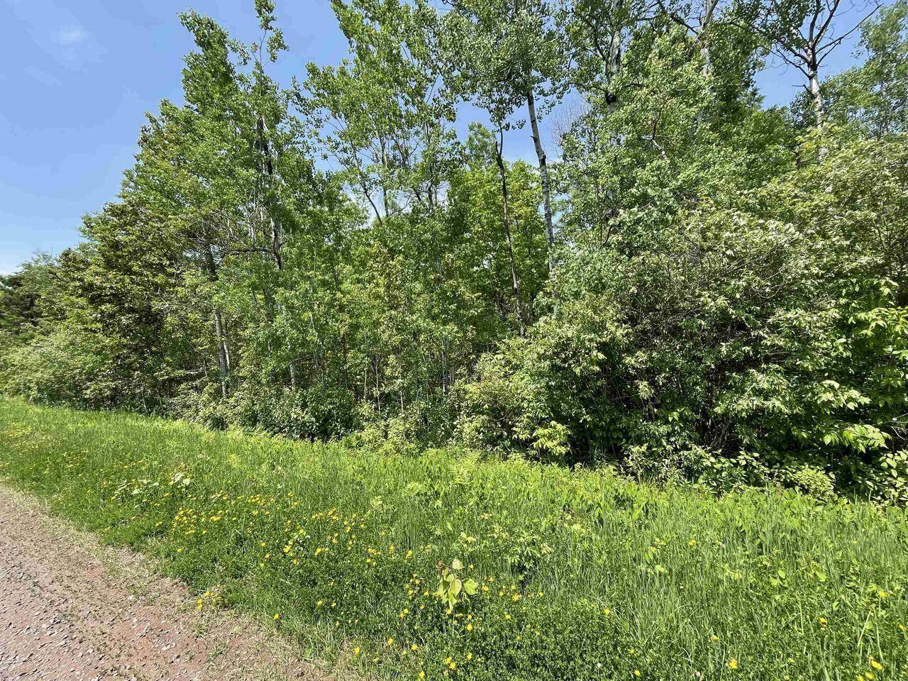 Port Wing, WI 54865,6.03 Acres E Orienta Falls Rd